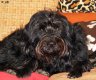 DSC03924.JPG