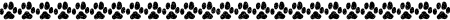 linie00258.gif