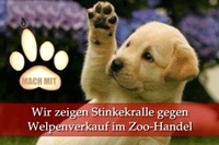 wirzeigenstinkekralle_kl.jpg